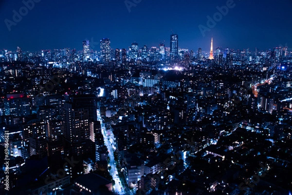 Obraz 東京の夜景