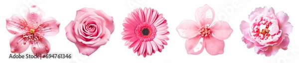 Obraz Set of pink flowers on isolated background