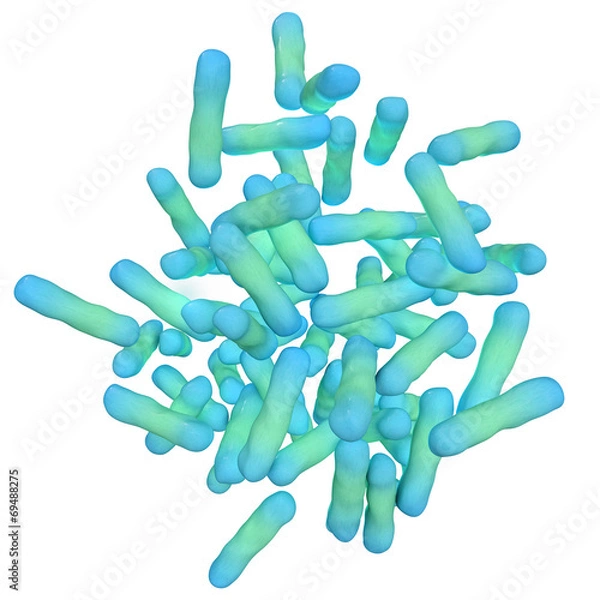 Fototapeta Shigella dysenteriae - 3d Render