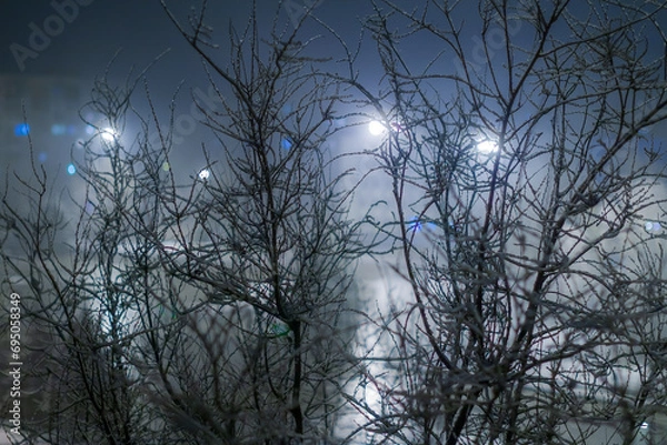 Fototapeta Tree covered with snow against the background of the lights of a winter foggy night city.
