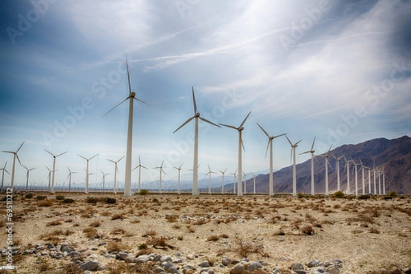Obraz Palm Springs Wind Farm