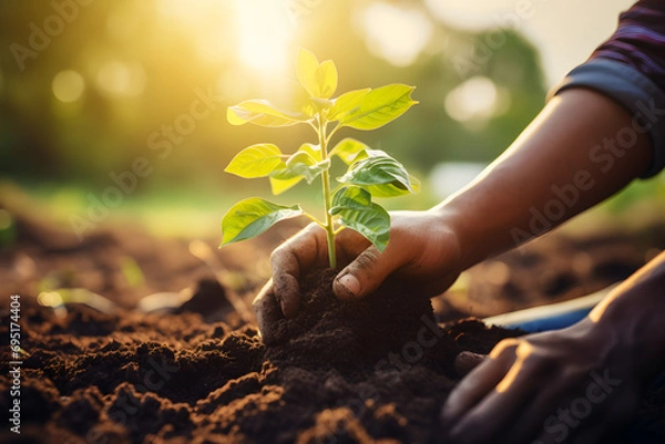 Fototapeta Farmer hand protection tree planting on soil with sunshine in garden, eco concept.