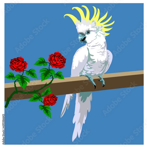 Fototapeta Cockatoo bird and red rose bloom beside. Vector