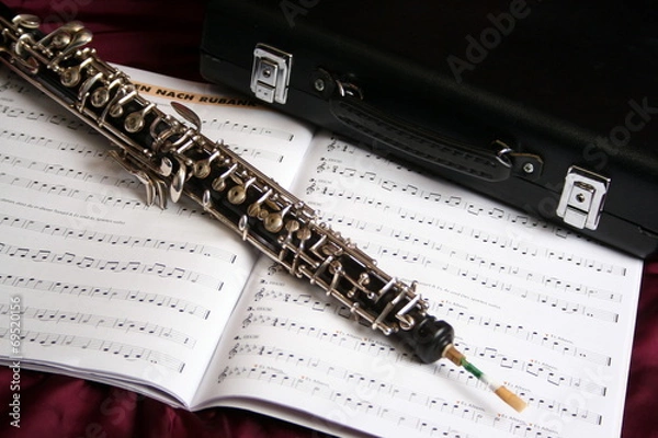 Obraz Oboe