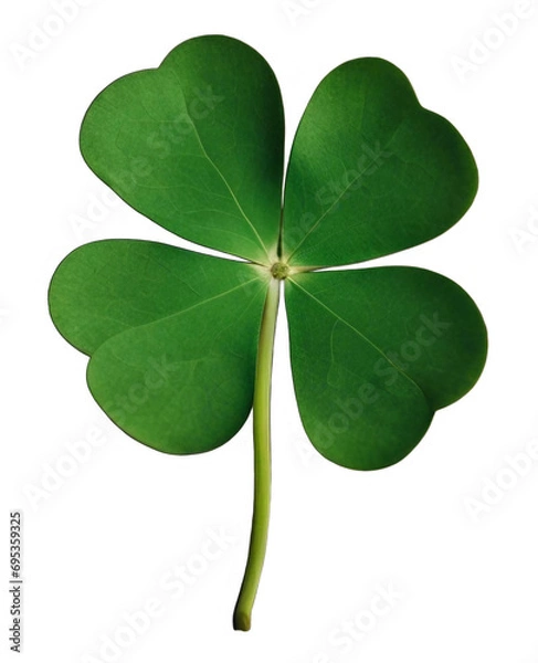 Obraz four leaf clover -Generative AI