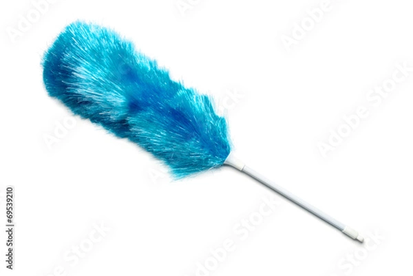 Obraz Duster on White