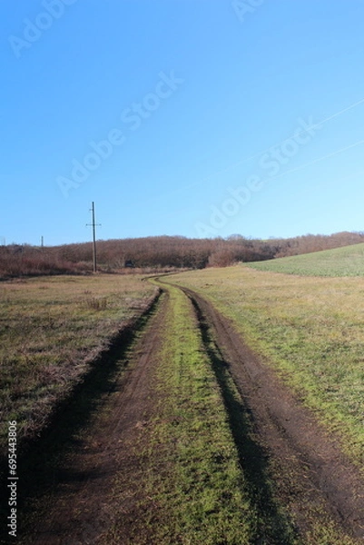 Fototapeta A dirt road with grass and trees
