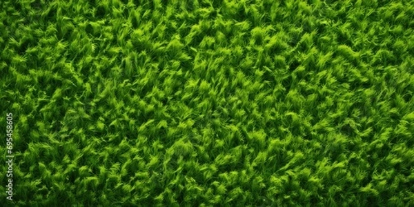 Fototapeta Green lawn top view. Artificial grass background grass green field texture lawn golf nature