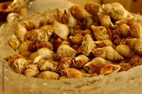 Fototapeta Heap of shells in restaurant 