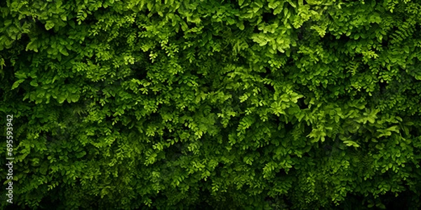 Fototapeta High resolution Close up of fresh nature spring bushes wall pattern. Green leaf plant, greenery grass texture background pattern for walllpaper, background Generative AI.