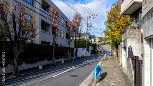 Obraz 住宅街の道