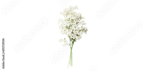 Obraz Baby's Breath flowers Artificial Intelligence Generative