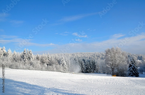 Fototapeta Winter Piste Skihang