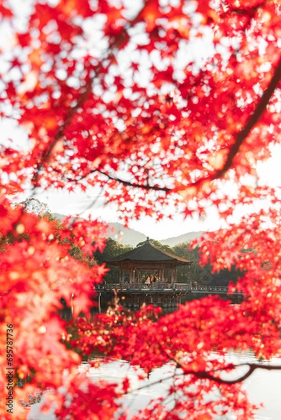 Obraz 奈良公園の紅葉