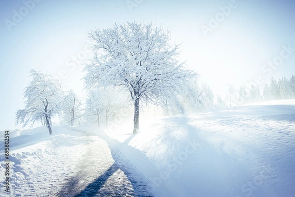 Obraz Winter und Sonne