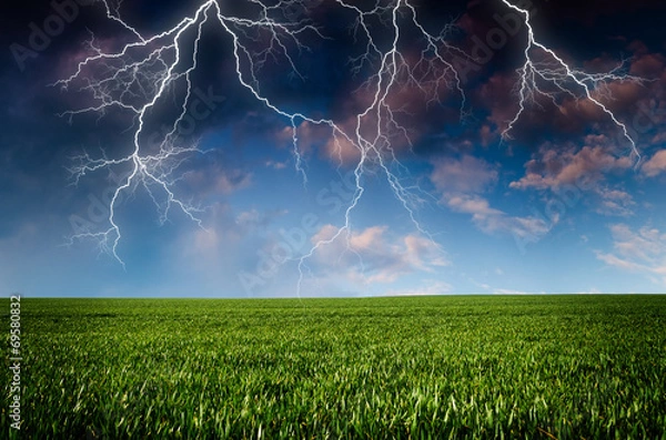 Fototapeta Thunderstorm with lightning in green meadow