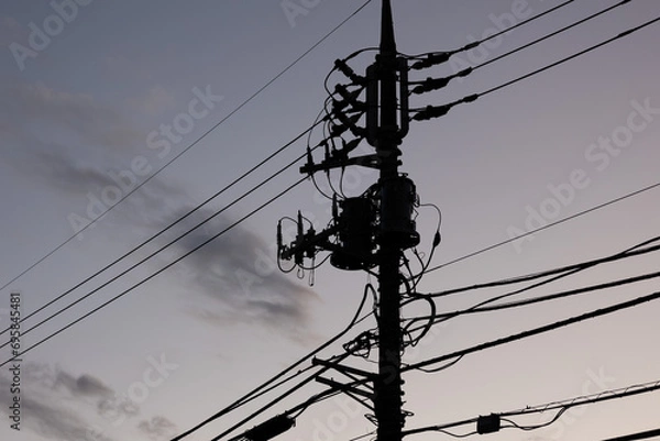 Obraz 電柱のシルエット