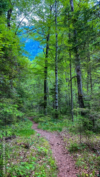 Fototapeta 2021-06 Königssee