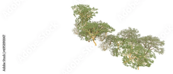 Obraz Green forest isolated on background. 3d rendering - illustration
