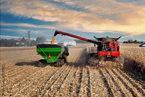 Obraz grain cart being loaded with corn from a combine harvester in  northern Illinois