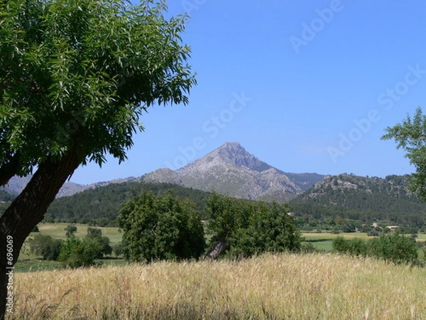 Fototapeta tramuntana