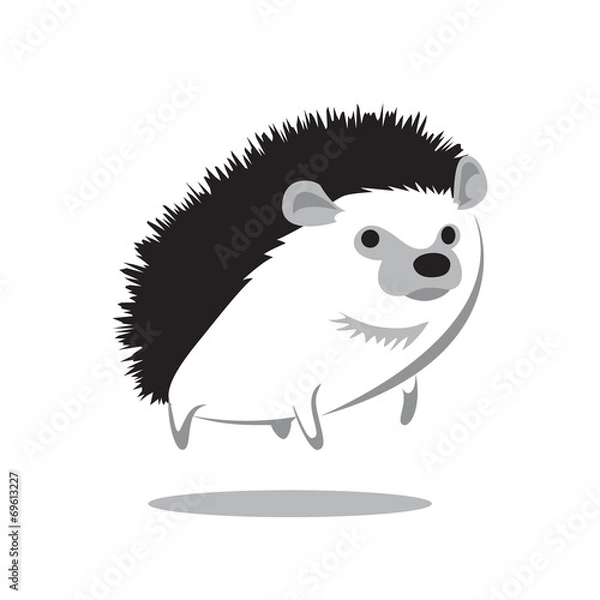 Fototapeta hedgehog