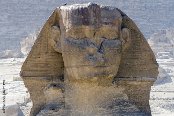 Obraz sphinx