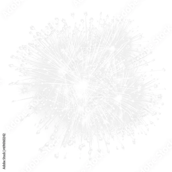 Obraz bright fireworks 