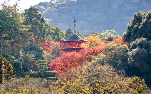 Fototapeta Autumn Forest