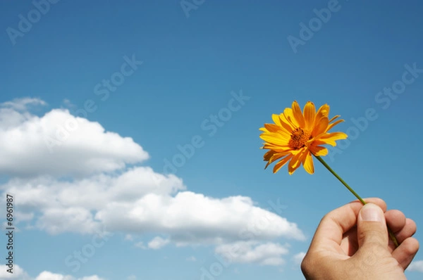 Fototapeta Flower in hand
