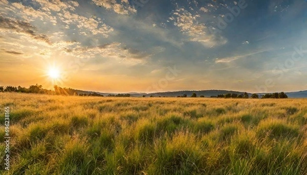 Fototapeta sunset over the field