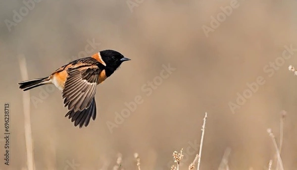 Obraz spotted woodpecker generated Ai