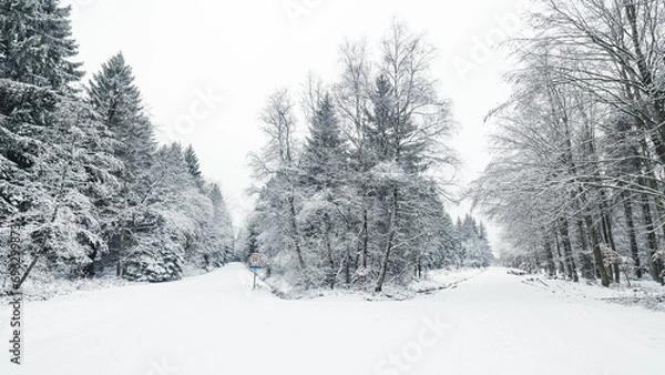 Obraz Winterwonderwald