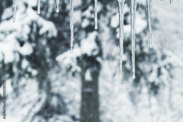 Obraz Winterwonderwald