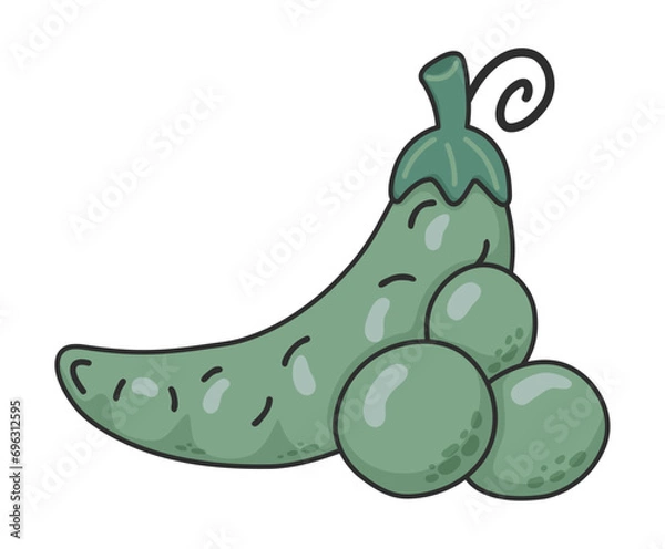 Obraz Green pea pod isolated on a white background, hand drawn vector illustration. Green split sweet peas. Organic vegetables cartoon concepts. Education and school material, kids coloring page, printable.