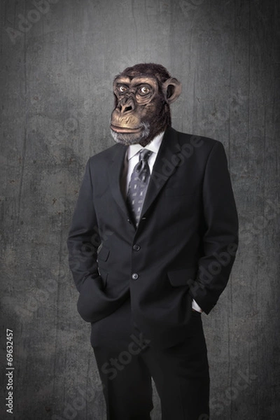 Obraz Małpa biznesmen