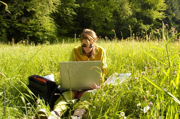 Obraz bureau des champs