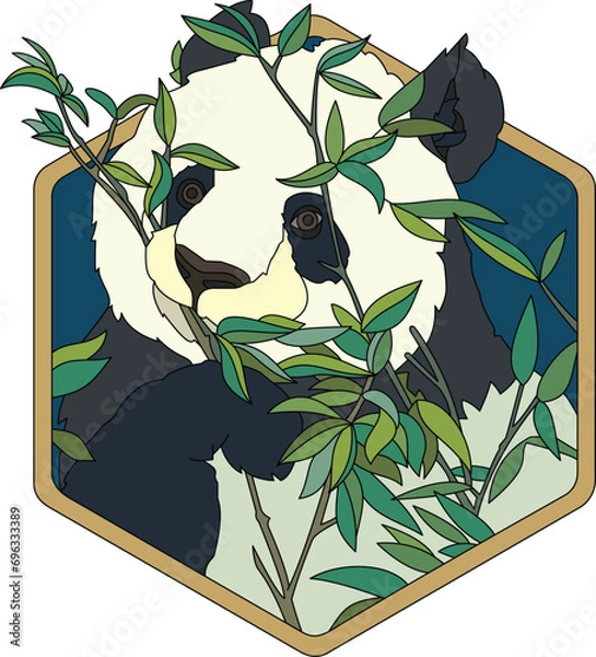 Obraz Panda In Hexagon Frame Vector Illustration. Panda Eating Leaves In Hexagon Frame Illustration. Animal Vector Illustration. Panda Bear In Frame