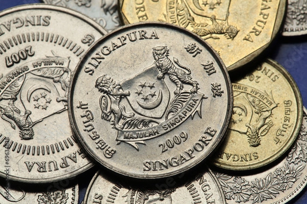 Fototapeta Coins of Singapore