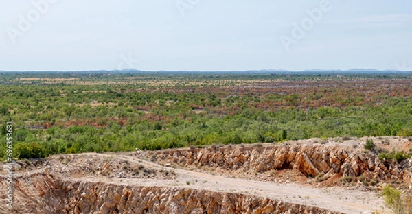 Fototapeta field with sky