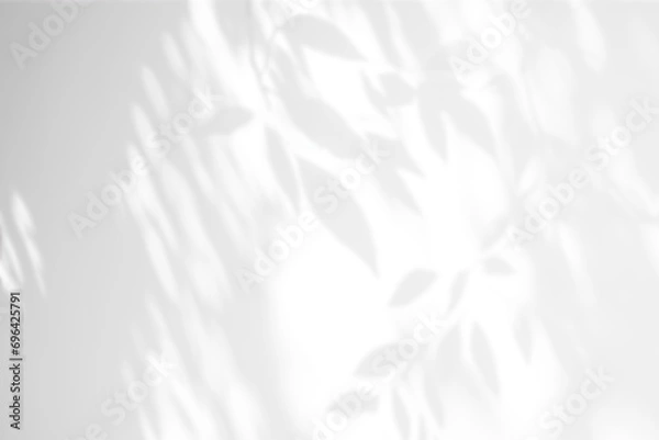Fototapeta Shadow overlay effect. Abstract sunlight background with organic botanical shadows from plants, leaves, and branches.