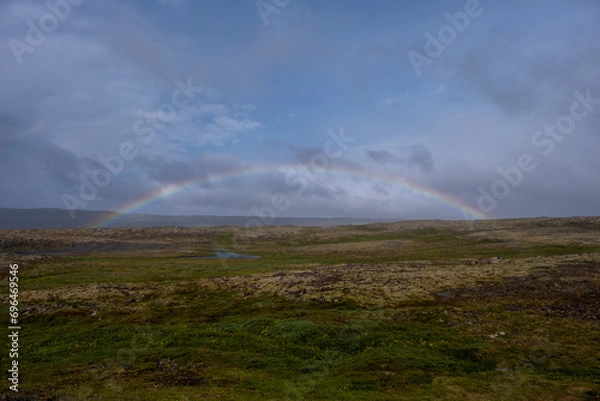 Fototapeta rainbow over the fields