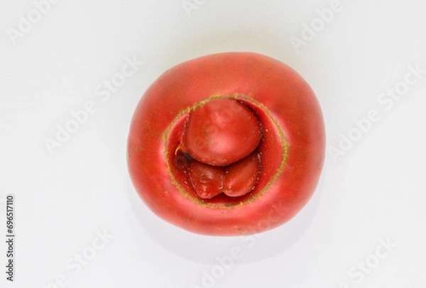 Fototapeta Red tomato with bumps in the form of hemorrhoids.
