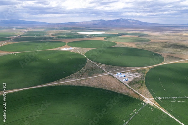 Fototapeta Aerial drone of green crop circles in fields of Idaho.  Shot on a drone in the western part of the United States.  Flat plain landscape of abstract backgrounds.