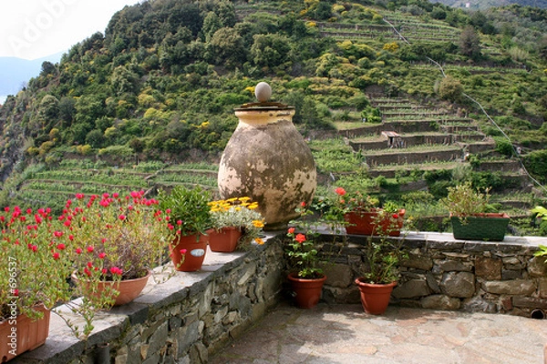 Obraz jug on a terrace