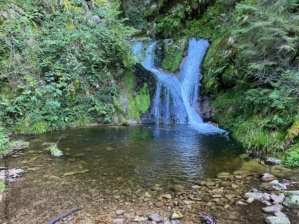 Obraz waterfall in the forest