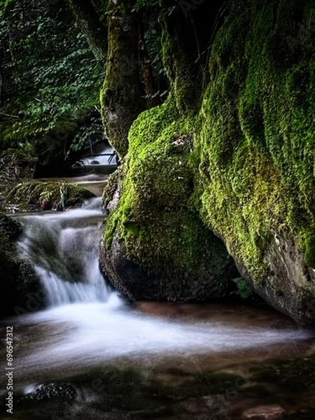 Obraz waterfall in the forest