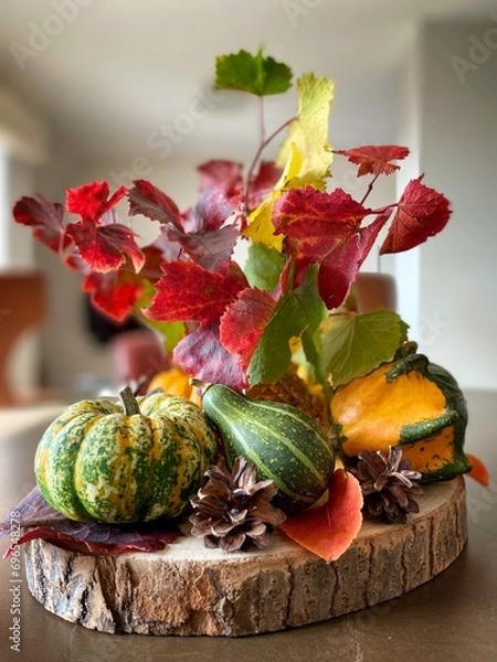 Obraz pumpkin and zucchini