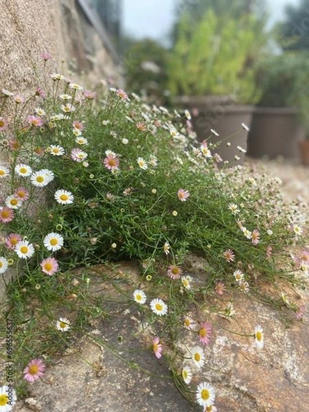 Obraz the road in the forest