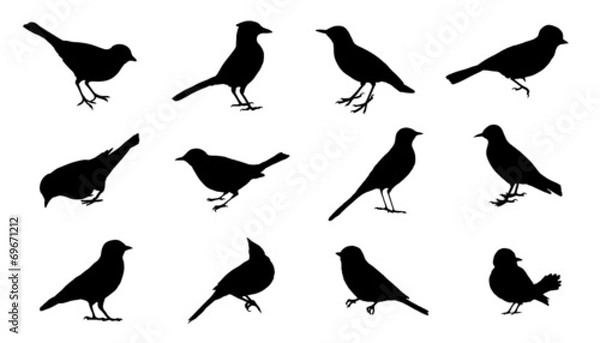 Obraz sylwetki bird2